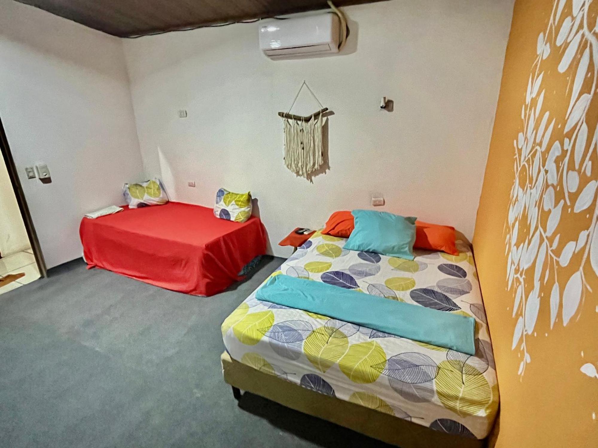 Cheap Hostel קפוס מראה חיצוני תמונה
