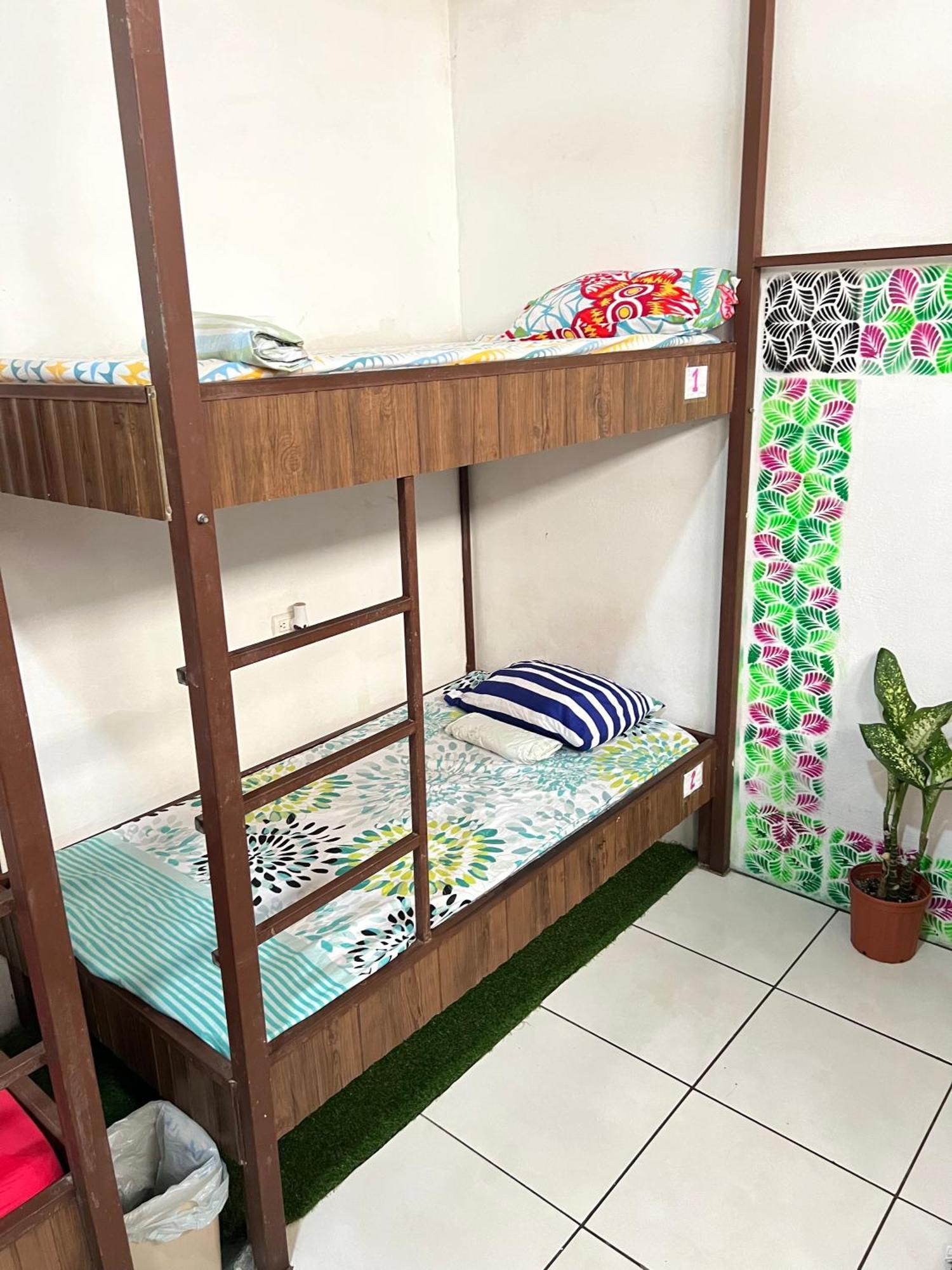 Cheap Hostel קפוס מראה חיצוני תמונה