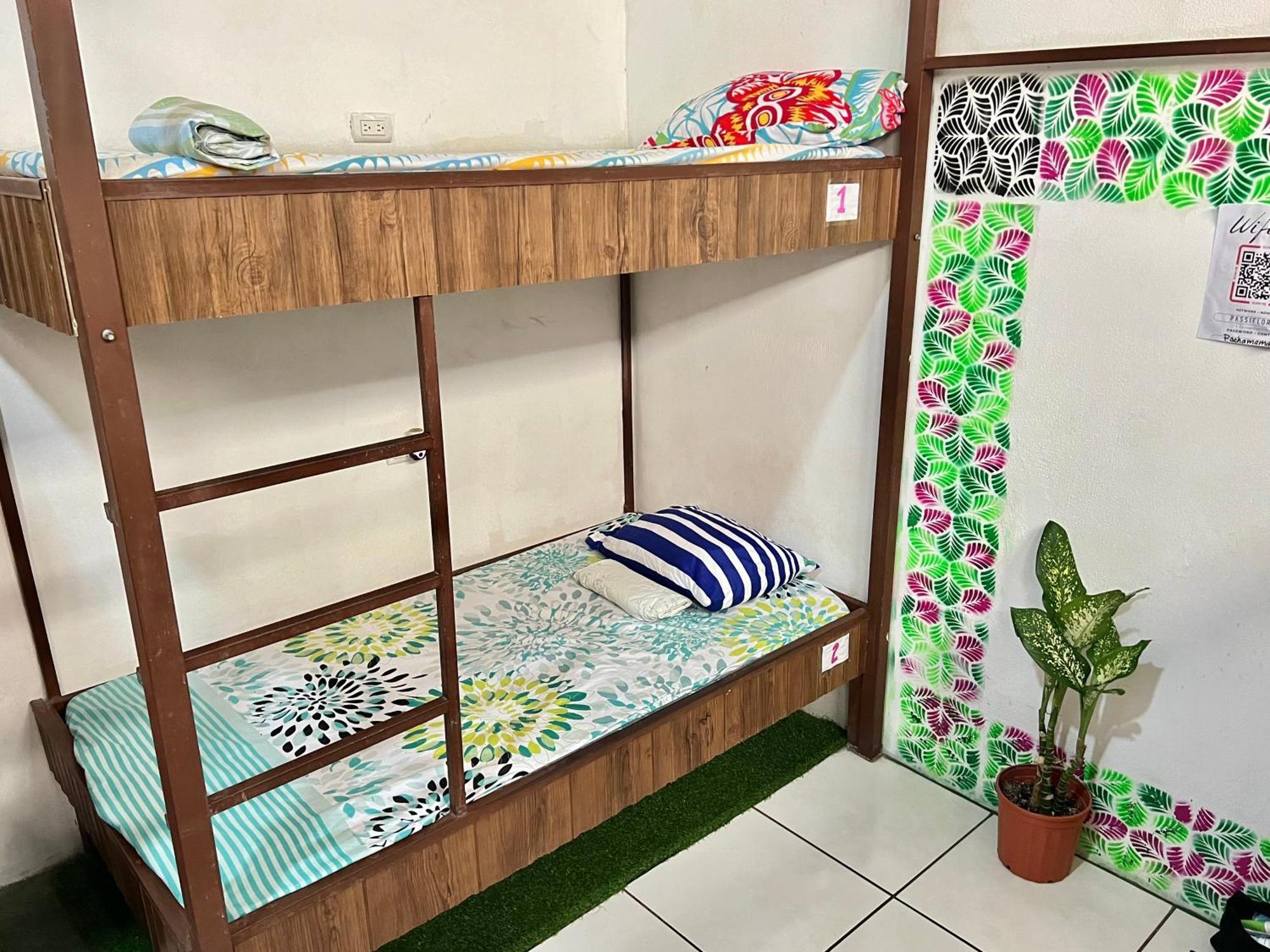 Cheap Hostel קפוס מראה חיצוני תמונה