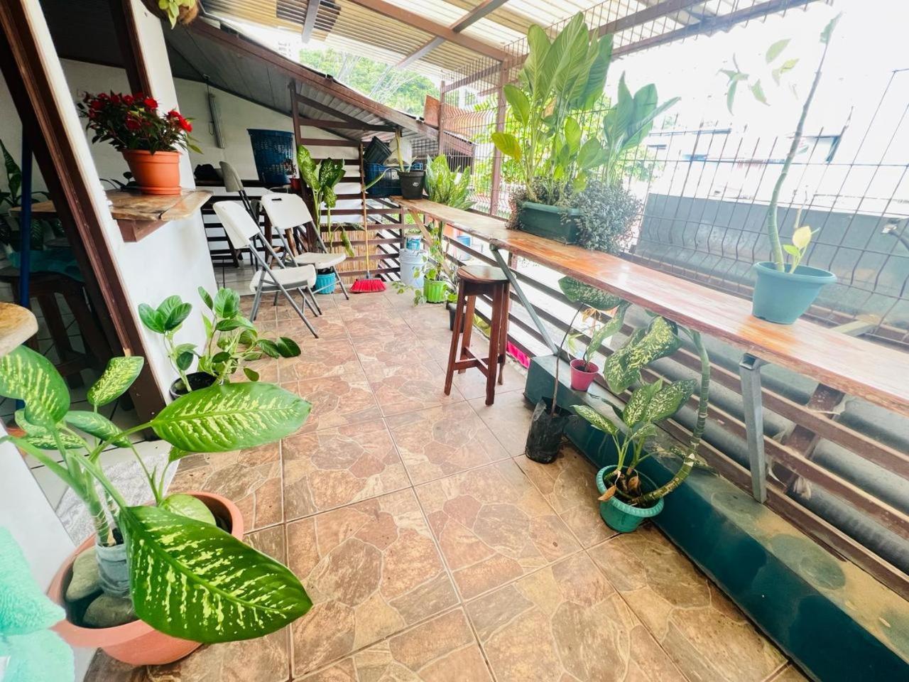 Cheap Hostel קפוס מראה חיצוני תמונה