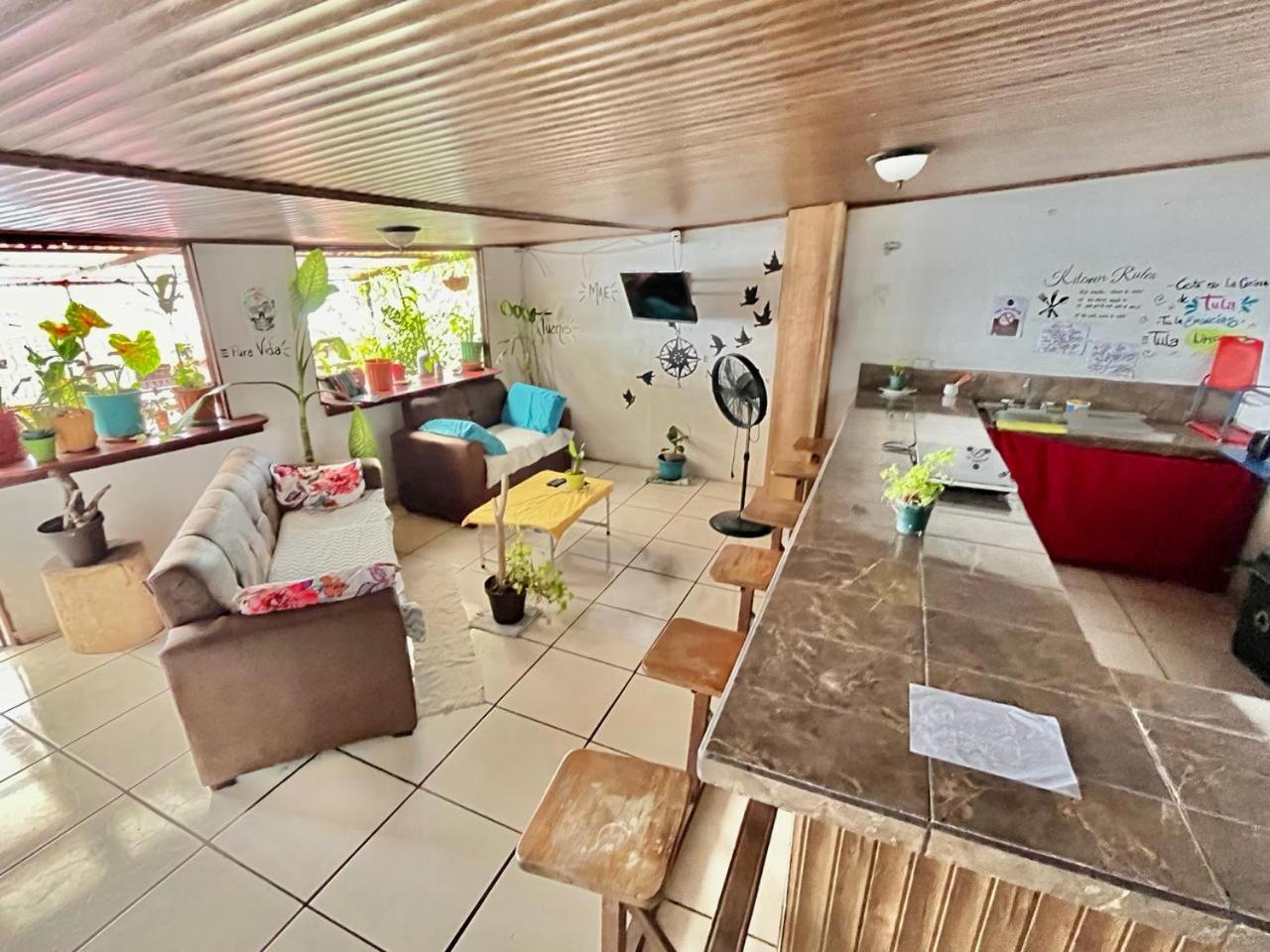 Cheap Hostel קפוס מראה חיצוני תמונה