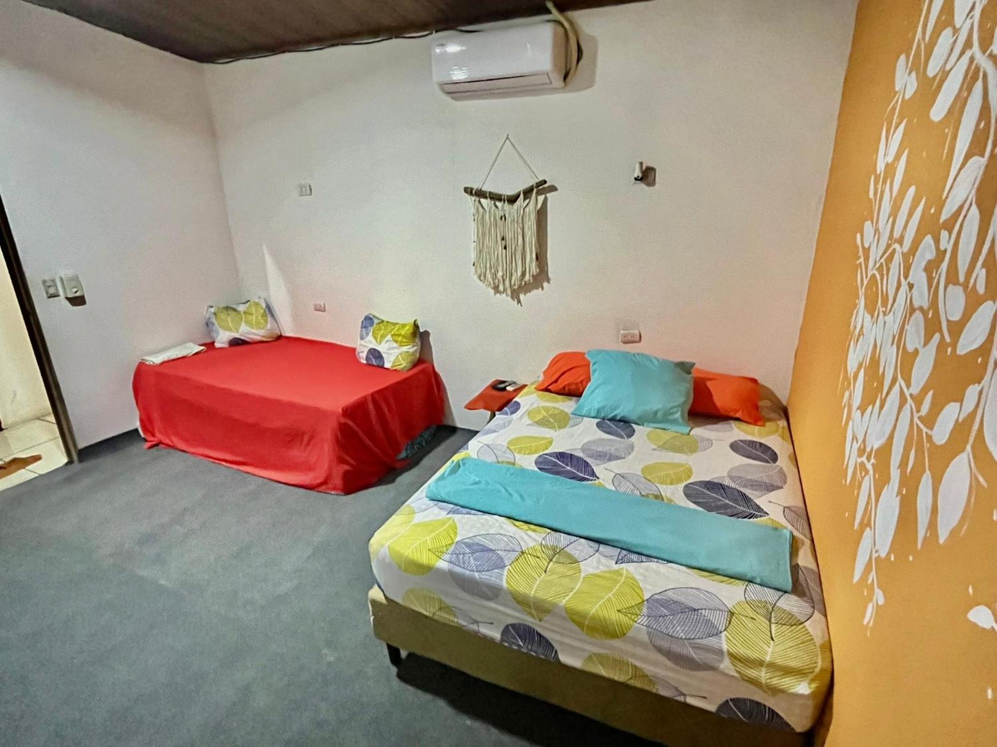 Cheap Hostel קפוס מראה חיצוני תמונה
