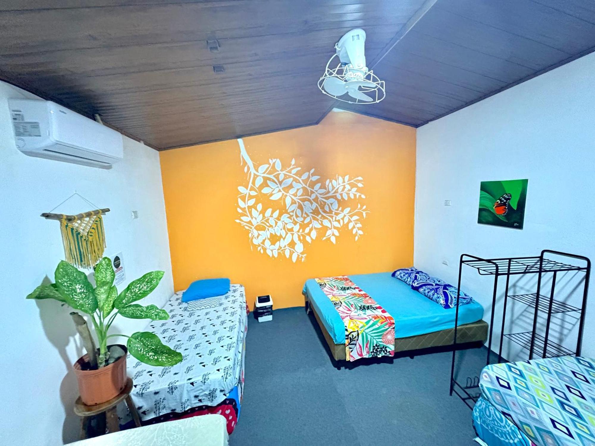 Cheap Hostel קפוס מראה חיצוני תמונה