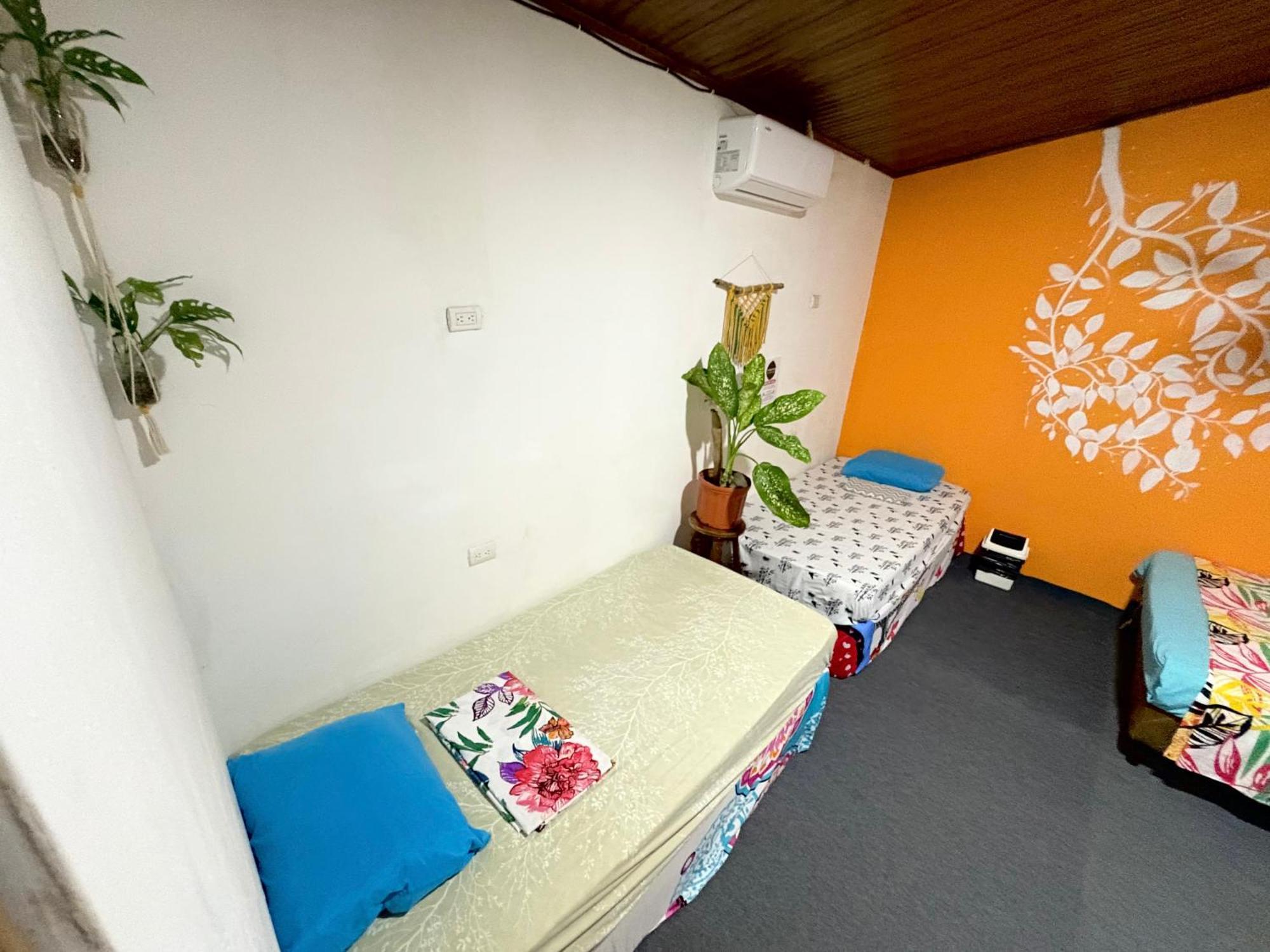 Cheap Hostel קפוס מראה חיצוני תמונה