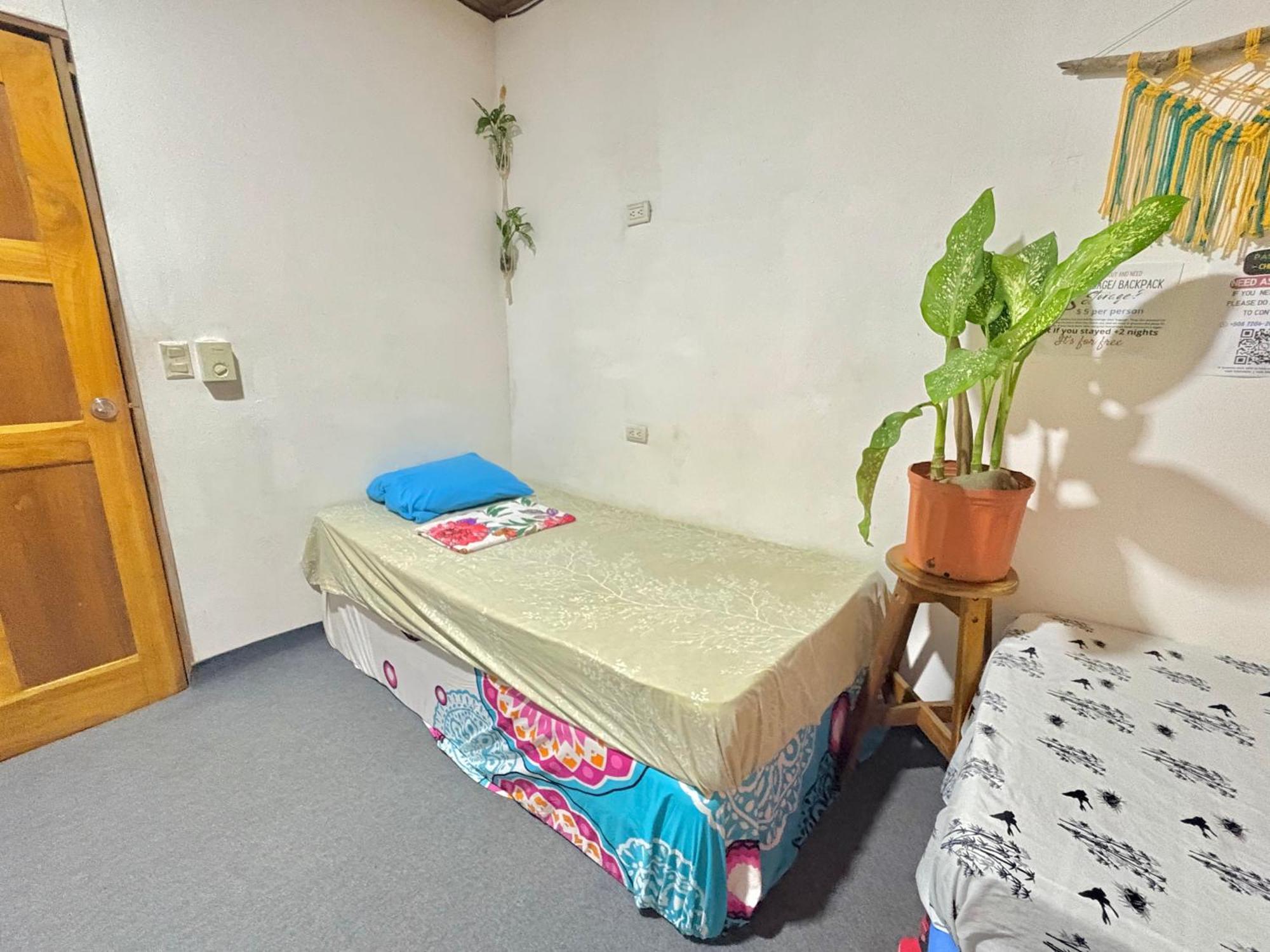 Cheap Hostel קפוס מראה חיצוני תמונה